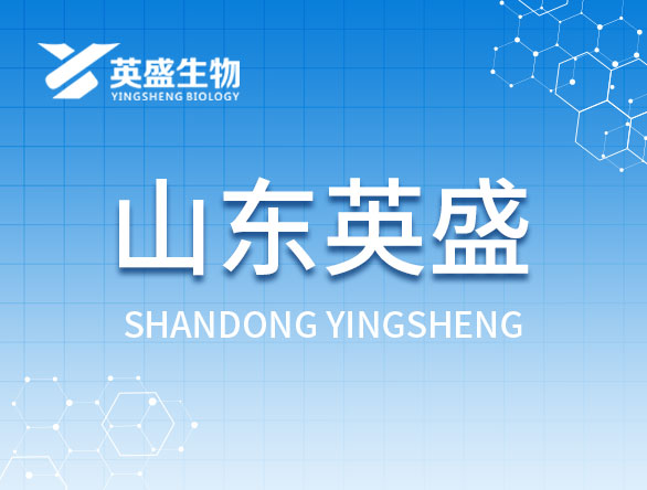 馮總